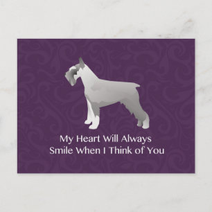 Cartão Postal Schnauzer Pensando em você Design