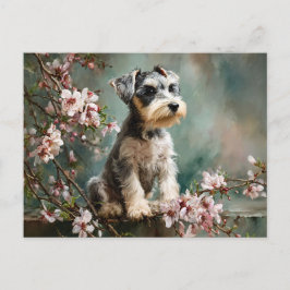 Cartão Postal Schnauzer Puppy Among Spring Cherry Blossoms