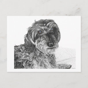 Cartão Postal Schnell - Cartão-postal do Vazio