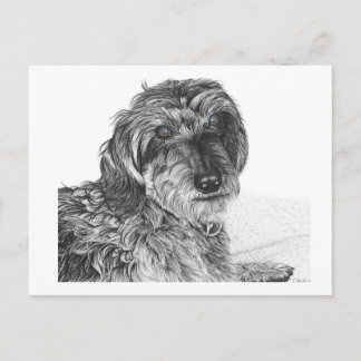 Cartão Postal Schnell - Cartão-postal do Vazio