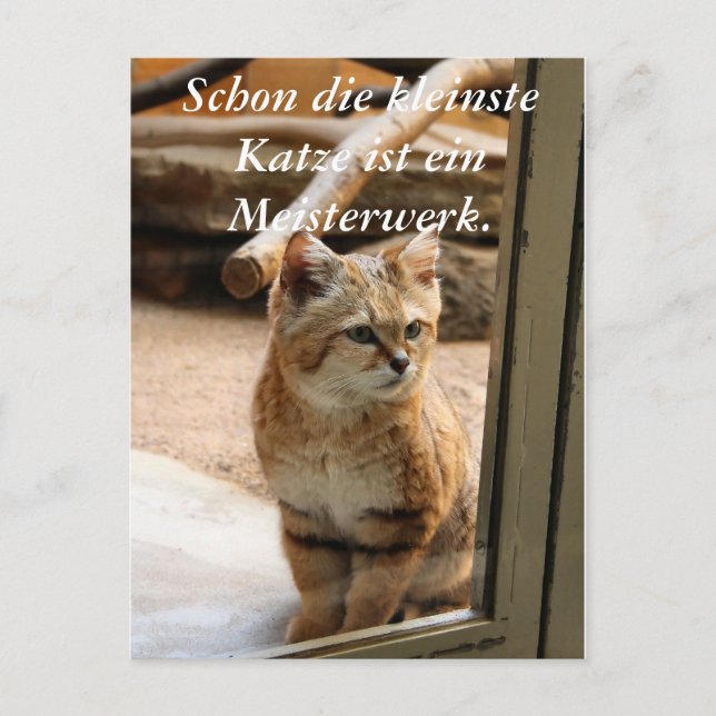 Cartão Postal Schon die kleinste Katze ist ei... (Frente)