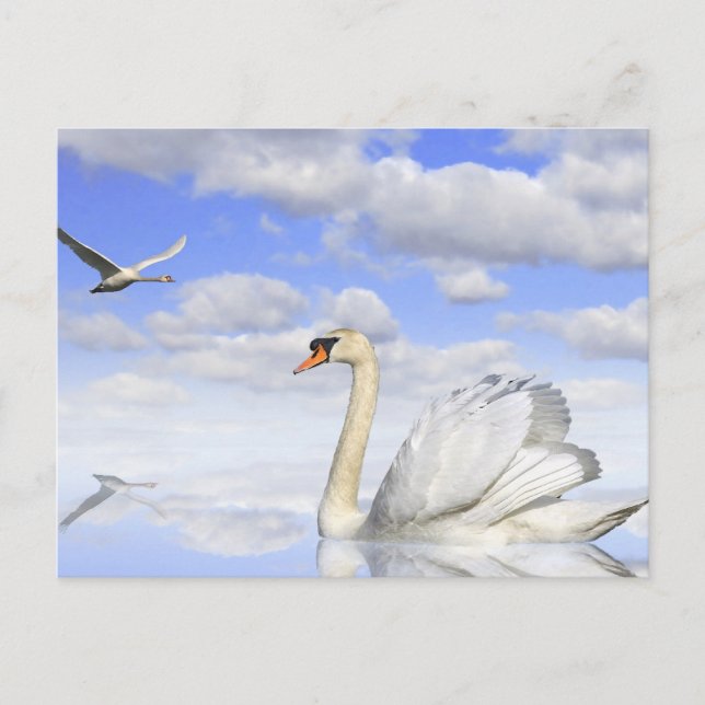 Cartão Postal Schwanensee (Frente)