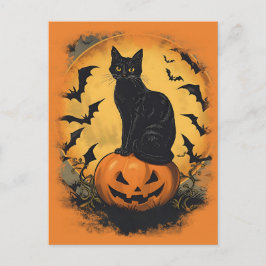 Cartão Postal Schwarze Katze auf Halloween-Kürbis