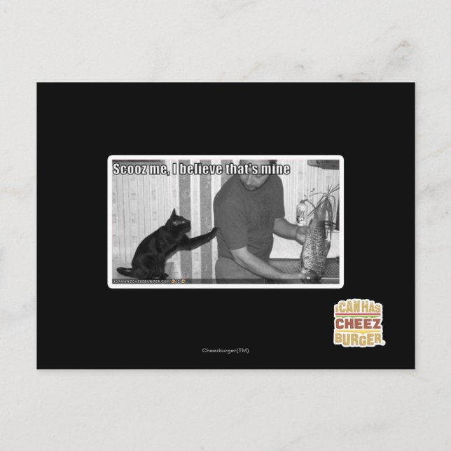 Cartão Postal Scooz me, acredito que é meu (Frente)