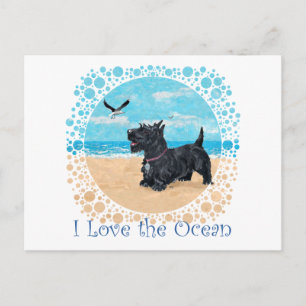 Cartão Postal Scottie Beach PERSONALIZADO