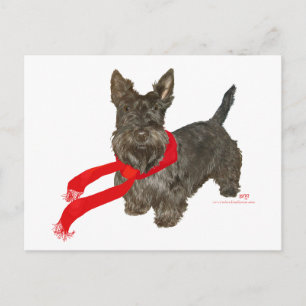 Cartão Postal Scottie de Inverno com Cachecol Wam