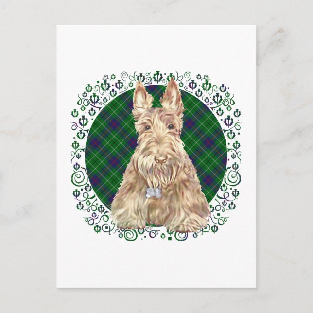 Cartão Postal Scottie Duncan Tartan (Frente)