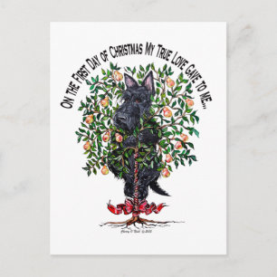 Cartão Postal Scottie em uma árvore de pera