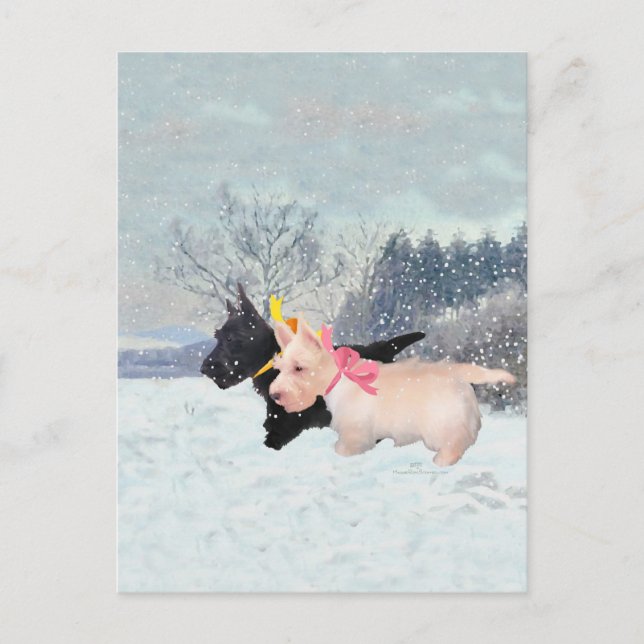 Cartão Postal Scottie Pups (Frente)