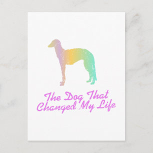 Cartão Postal Scottish Deerhound