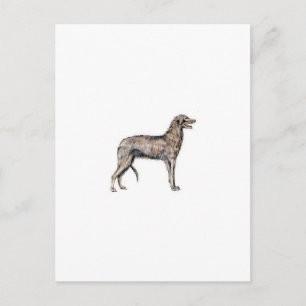 Cartão Postal Scottish Deerhound