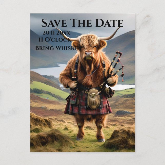 Cartão Postal Scottish Highland Cow Bagpiper, Exceto A Data (Frente)