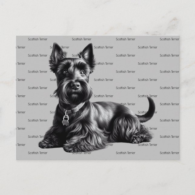 Cartão Postal Scottish Terrier in (Frente)