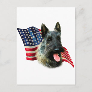 Cartão Postal Scottish Terrier (indle) Flag