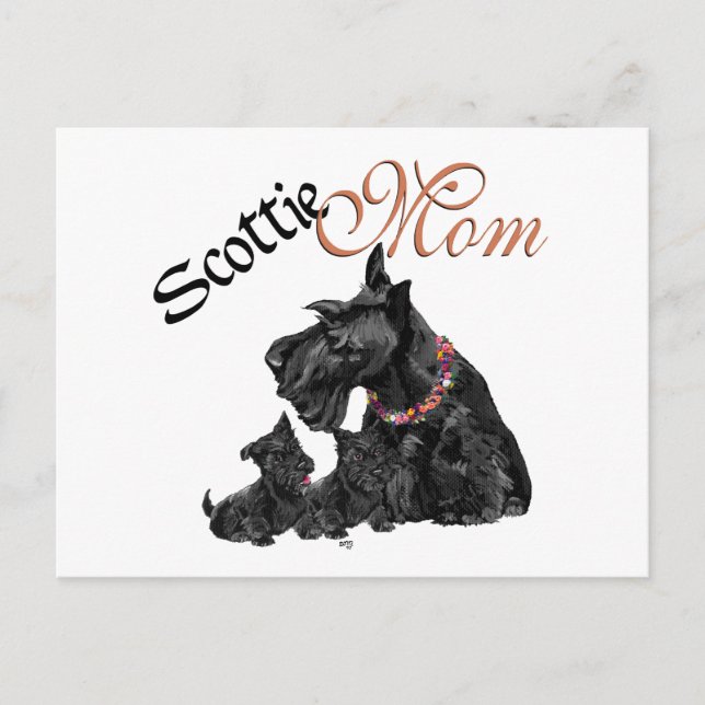 Cartão Postal Scottish Terrier Mãe & Pups para o Dia de as mães (Frente)