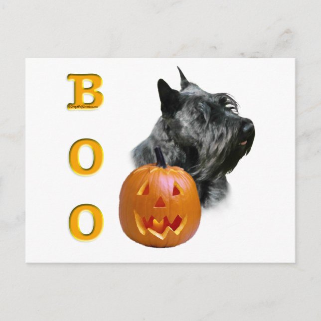 Cartão Postal Scottish Terrier (preto) Boo (Frente)