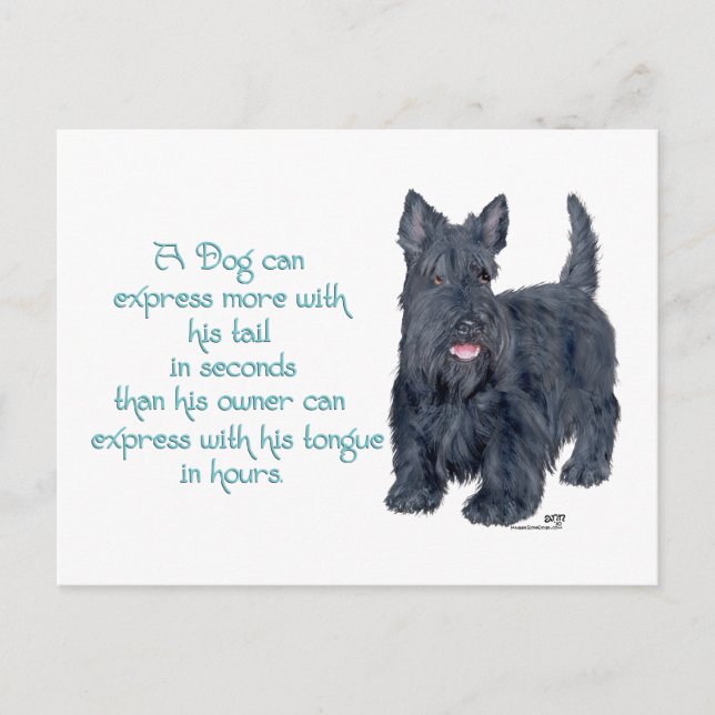Cartão Postal Scottish Terrier Sabedoria e Perspicácia - Falando (Frente)