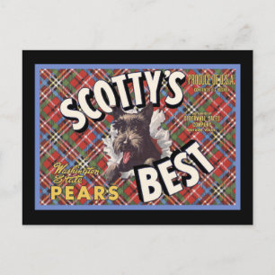 Cartão Postal Scottish Terrier Scottys Best Dog