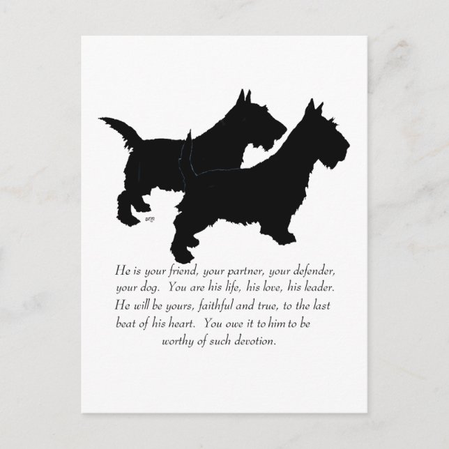 Cartão Postal Scottish Terriers Keepsasakr - Cães MALE (Frente)