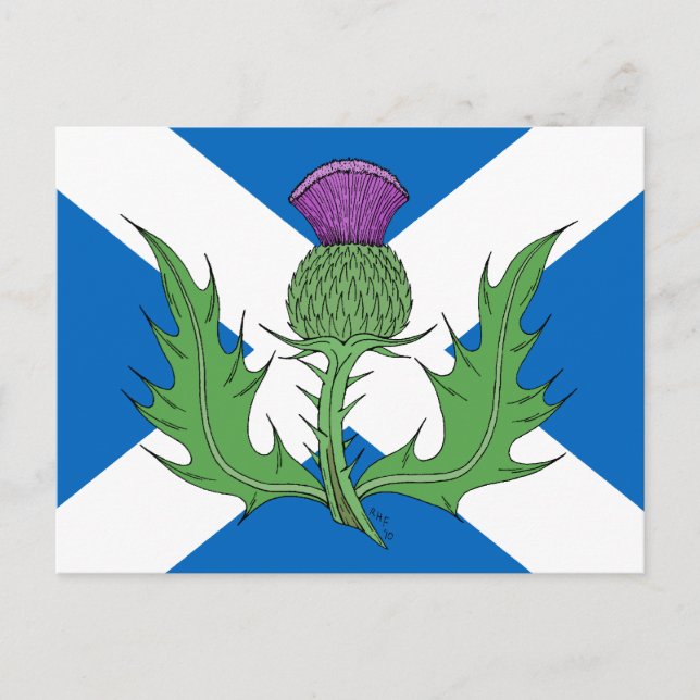 Cartão Postal Scottish Thistle and Saltire (Frente)