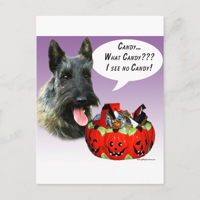 Cartão Postal ScottishTerrier Halloween Candy (Frente)