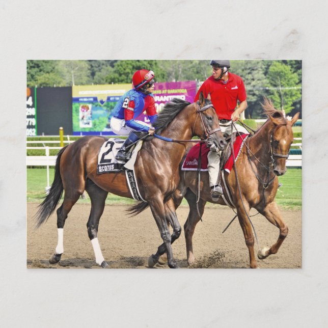 Cartão Postal Scotus by SuccessSuccessous Appeal-Divine (Frente)