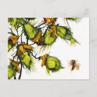 Cartão Postal "Scout" postcard by JAC