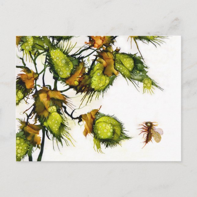 Cartão Postal "Scout" postcard by JAC (Frente)