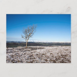 Cartão Postal Scout Scar Winter Lake District Inglaterra