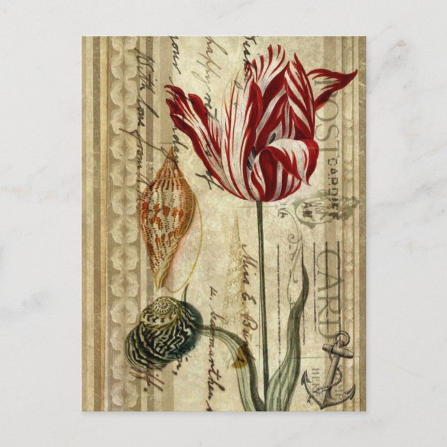 Cartão Postal scripts do país francês primavera botânico tulip (Frente)