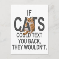 Se os Gatos pudessem mandar SMS de volta, eles não