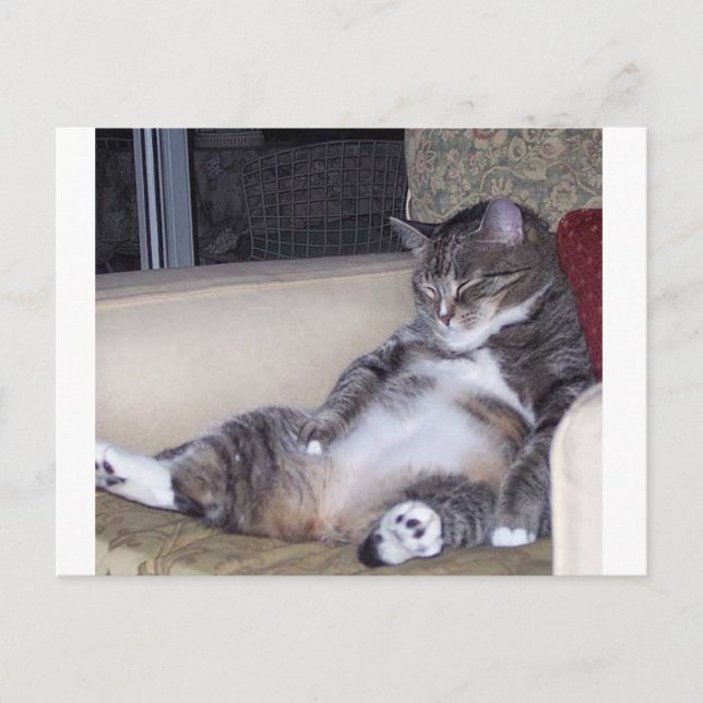 Cartão Postal Se precisar de calças ou sutiã... (Frente)