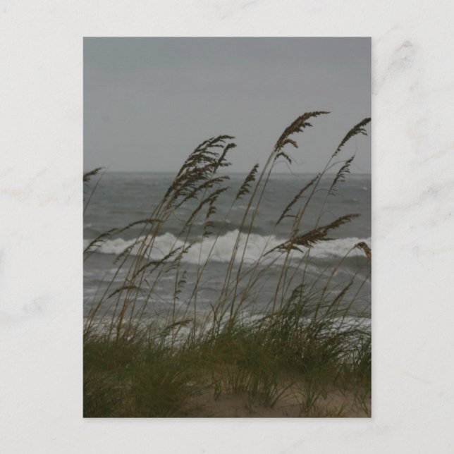 Cartão Postal Sea Breeze (Frente)