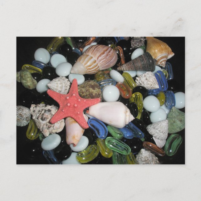 Cartão Postal Sea Shells and Rocks (Frente)