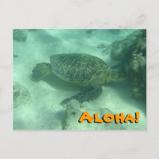 Cartão Postal Sea Turtle Aloha do Havaí Cartão-postal