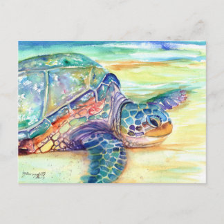 Cartão Postal Sea Turtle no Cartão-postal Tropical de Praia