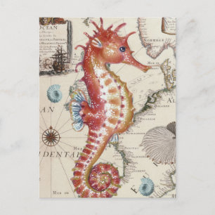 Cartão Postal Seacavalo Shabby