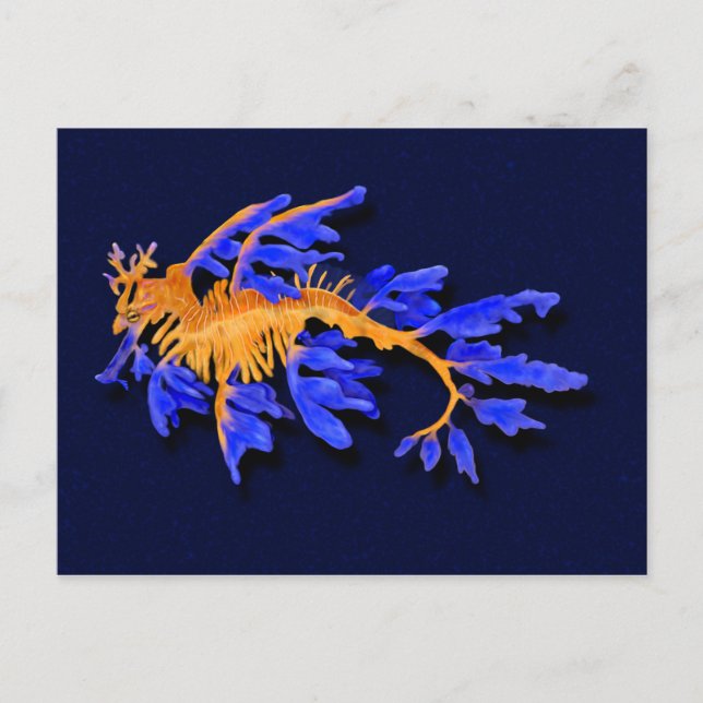 Cartão Postal Seadrágono Dourado e Azul Ilustrado (Frente)