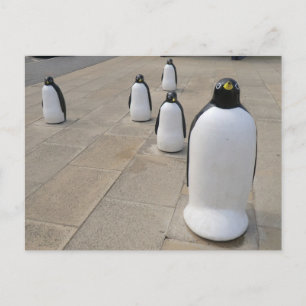 Cartão Postal Seafront Penguins