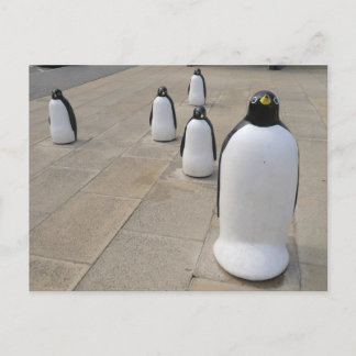 Cartão Postal Seafront Penguins