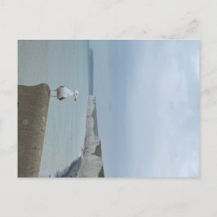Cartão Postal Seagul e penhascos brancos de Sete Irmãs, Reino Un