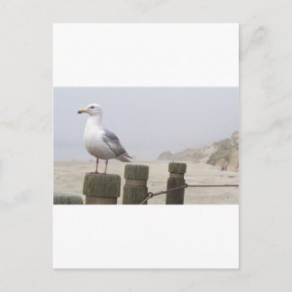 Cartão Postal Seagull