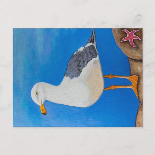 Cartão Postal Seagull (Frente)