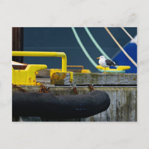 Cartão Postal Seagull em um ambiente de abstrato
