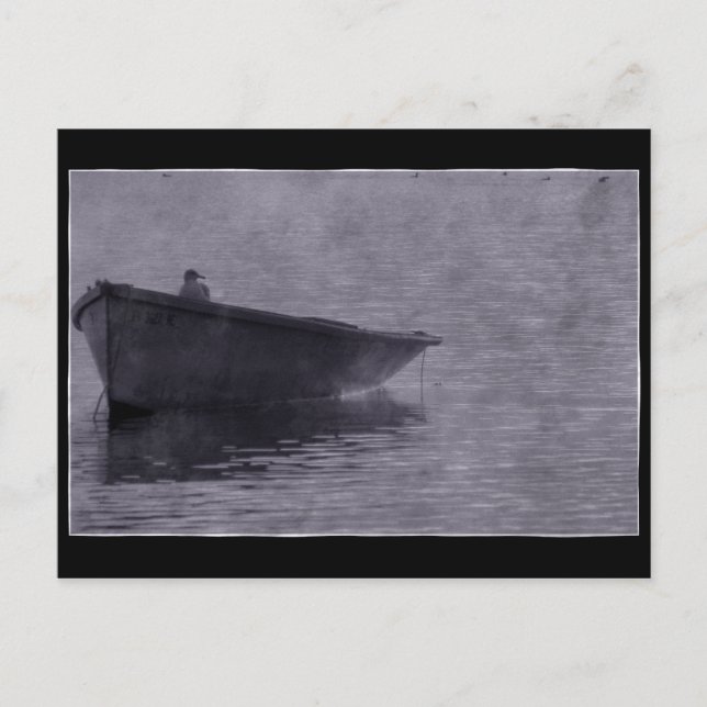 Cartão Postal Seagull Na Mist. (Frente)