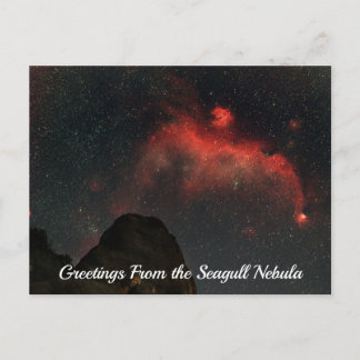 Cartão Postal Seagull Nebula Postcard