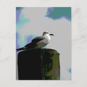 Cartão Postal Seagull sentado numa doca fotografada posterizada