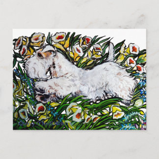 Cartão Postal Sealyham Terrier Daffodils