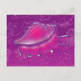 Cartão Postal Seashell