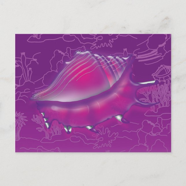 Cartão Postal Seashell (Frente)